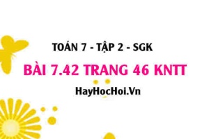 Bài 7.42 trang 46 Toán 7 Tập 2 Kết nối tri thức